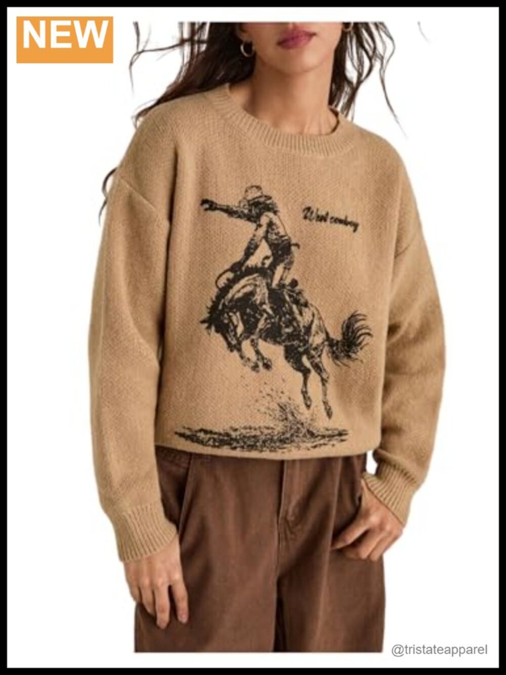 Vintage Western Graphic Crew Neck Long Sleeve Pullover Sweater